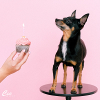 Sʜɪɴᴊō (Single)