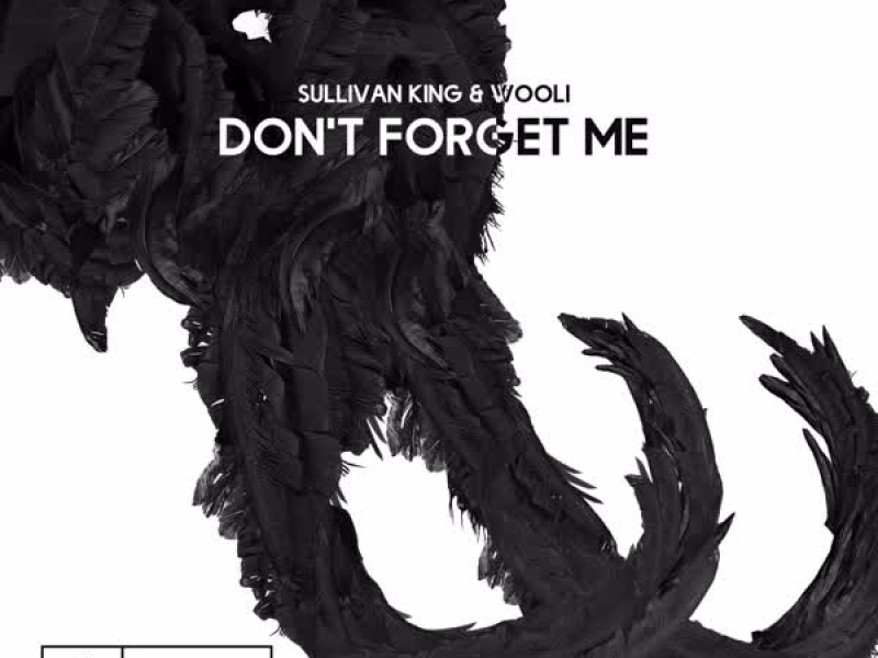 Don't Forget me (Single)