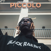 Piccolo (Single)