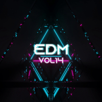 EDM, Vol.14