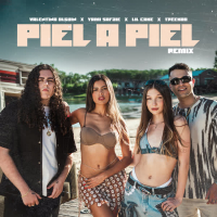 Piel a Piel (Remix) (Single)