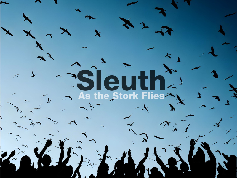 As the Stork Flies (Single)