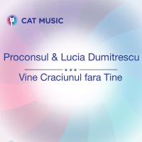 Vine Craciunul fara Tine (Single)