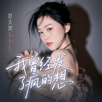 我曾经发了疯的想 (DJ默涵版) (Single)