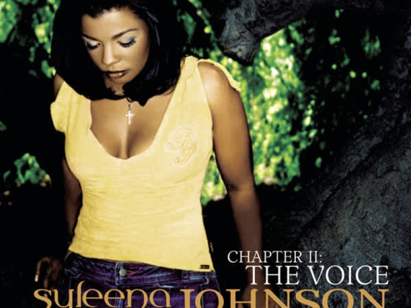 Chapter 2: The Voice