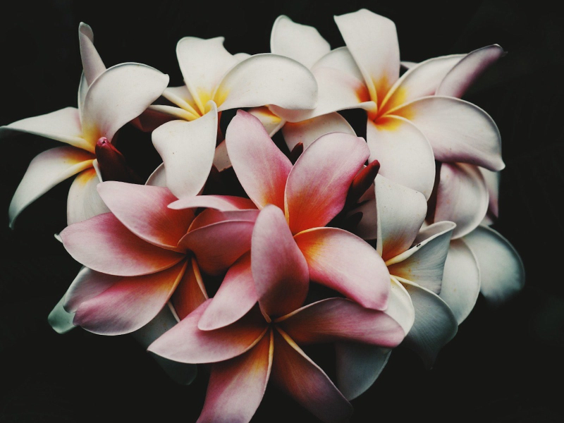 Closer 2 U (feat. Deo Cane & GMBEATZ) (Single)