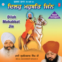Diloh Mohabbat Jin Vol-49 (Single)