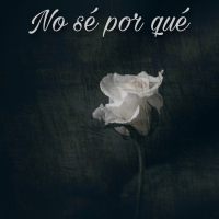 No Se Por Qué (Single)