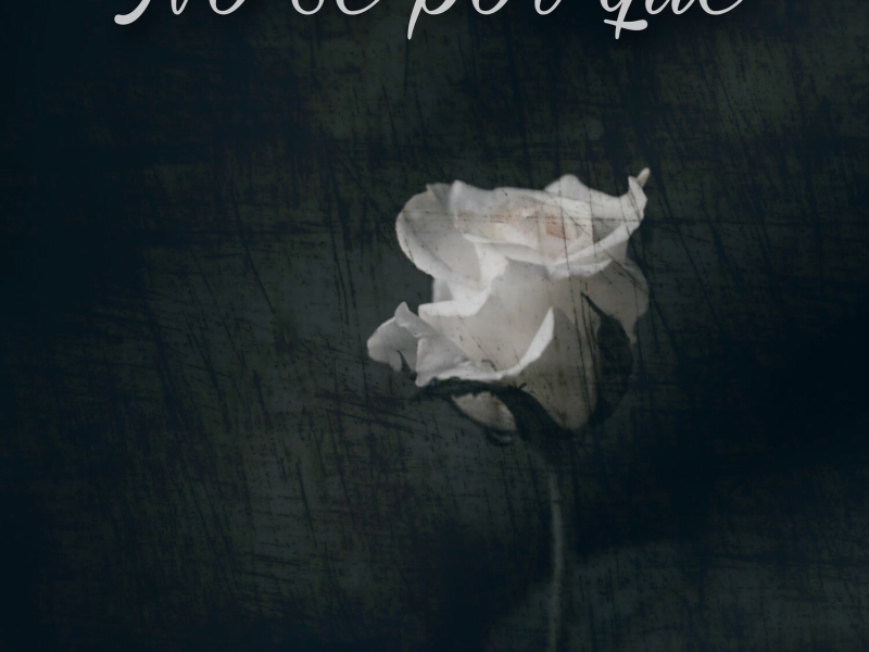 No Se Por Qué (Single)