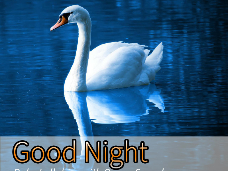 Good Night: Baby Lullabies with Ocean Sounds (Nature Sounds Version) (Single)