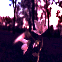 old songs 2014 (Single)