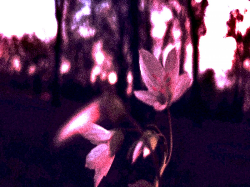 old songs 2014 (Single)