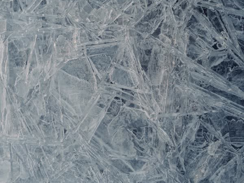 The Fuss (with Jungsu Kwon) (Single)