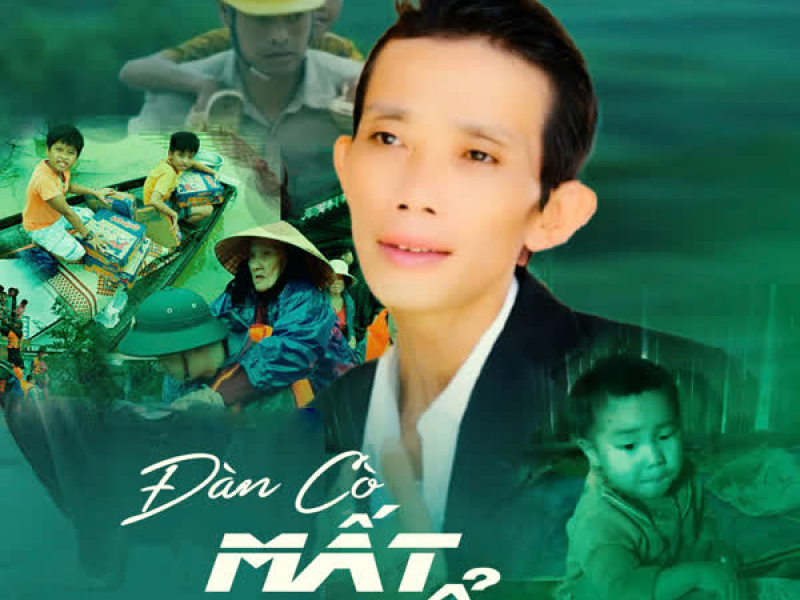 Đàn Cò Mất Tổ (Single)