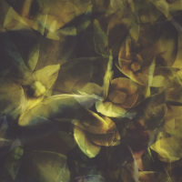 Pecho Tierra (Single)