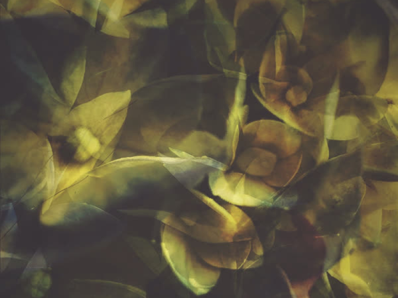 Pecho Tierra (Single)