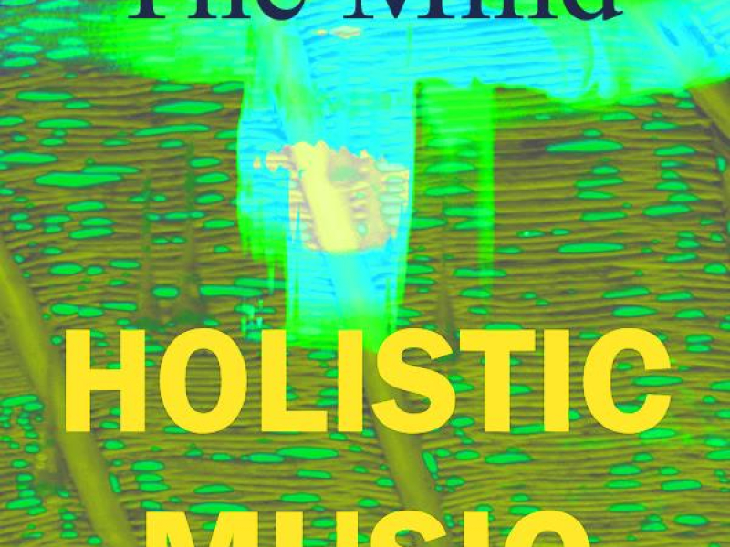 Holistic Music (Single)