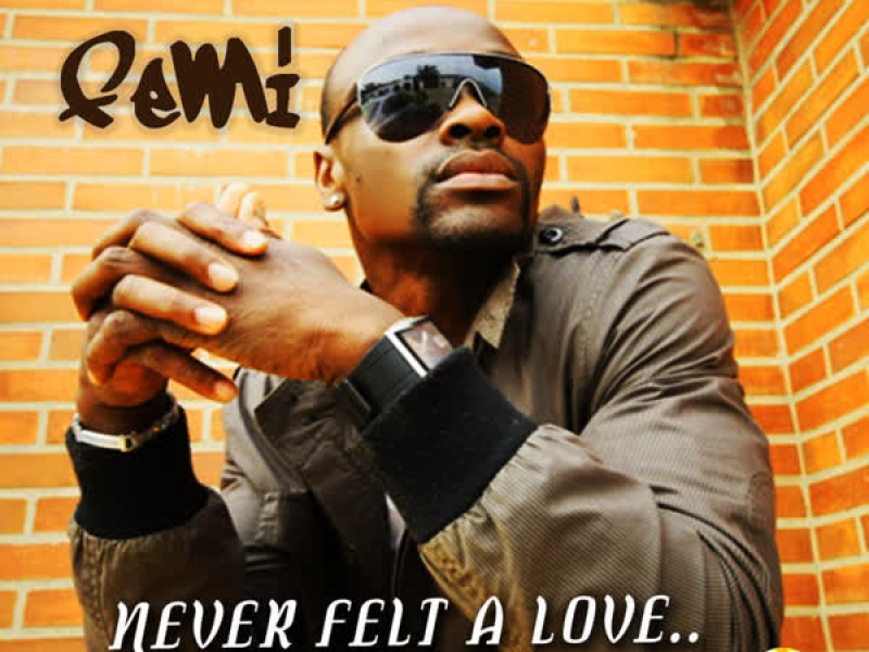 Never Felt Alone - Single