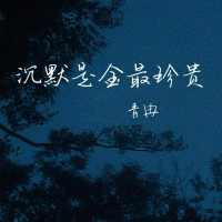 沉默是金最珍贵 (Single)