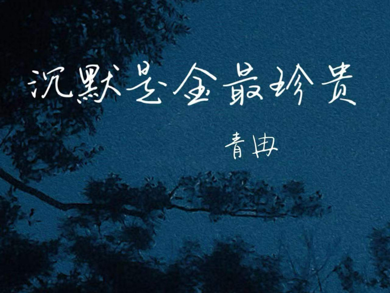 沉默是金最珍贵 (Single)