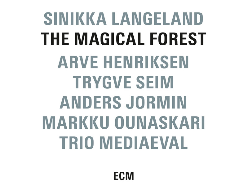 The Magical Forest