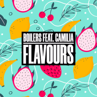 Flavours (feat. Camilia) (Single)