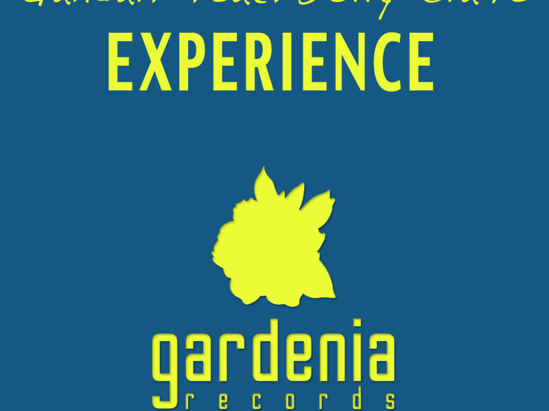 Experience