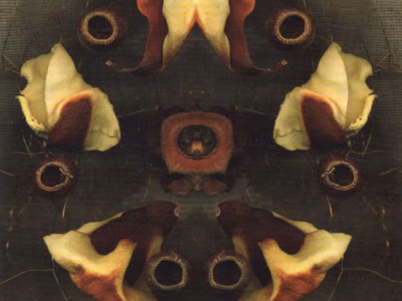 Corteggiando Le Messi