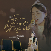 Điều Dang Dở Ngọt Ngào (Hướng Dương Ngược Nắng P2 OST) Beat (Single)