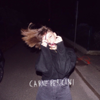 carne per cani (Single)