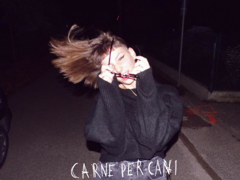 carne per cani (Single)