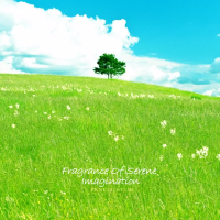 Fragrance Of Serene Imagination (Single)