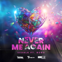 Never Me Again (Single)