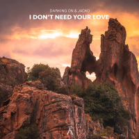 I Don't Need Your Love (Single)