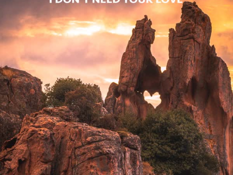 I Don't Need Your Love (Single)