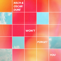 Won't Forget You (Single)