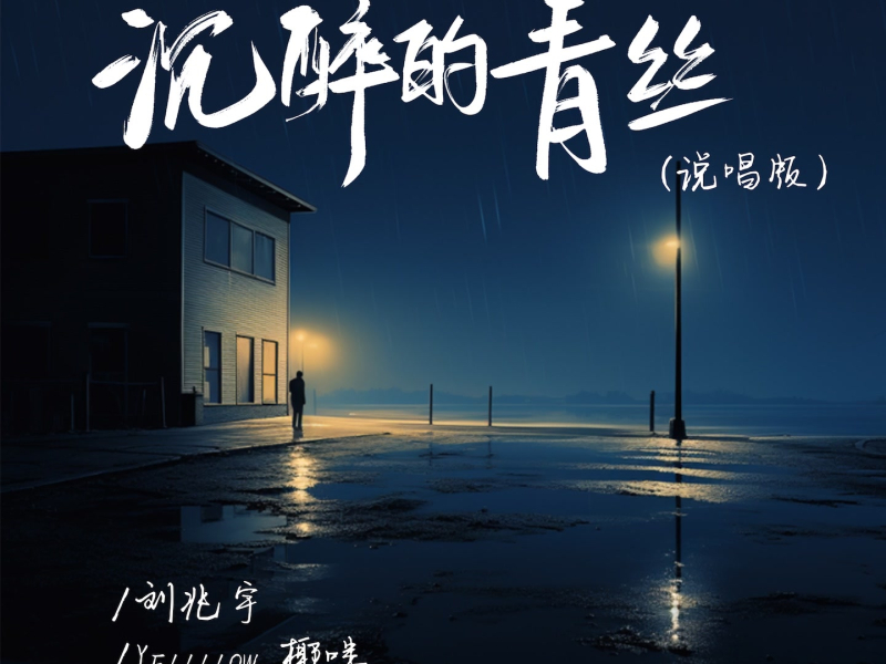 沉醉的青丝 (说唱版) (Single)