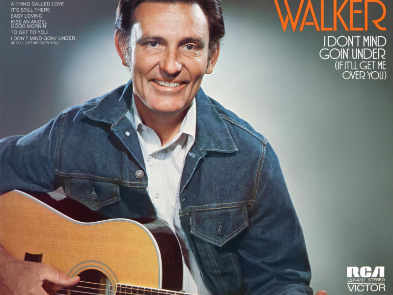 I Don't Mind Goin' Under (If It'll Get Me Over You)