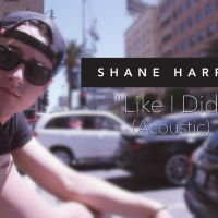 Like I Did (Acoustic) (MV) (Single)