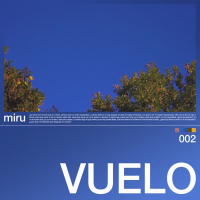 vuelo (Single)