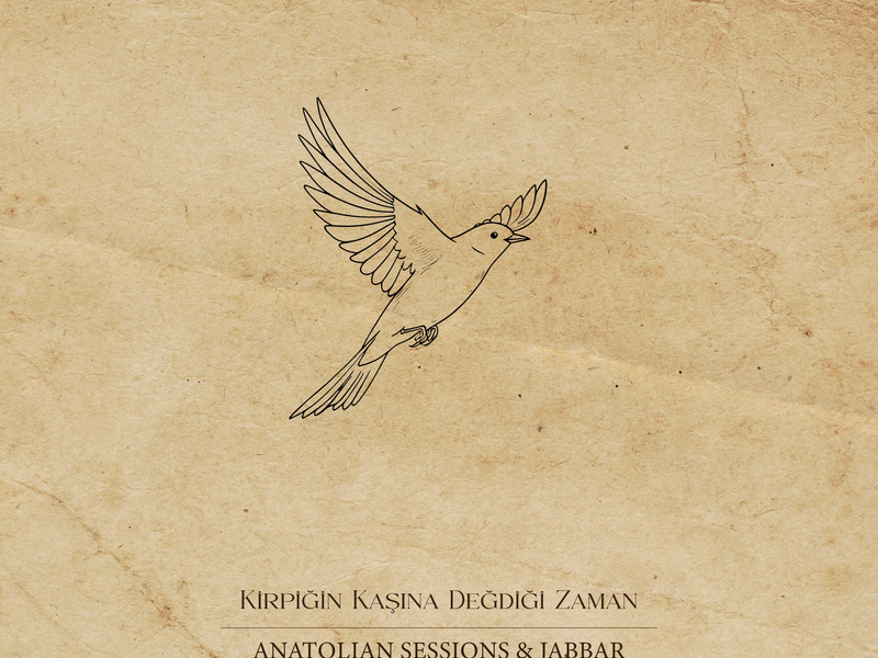 Kirpiğin Kaşına Değdiği Zaman (Single)