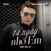14 Ngày Nhớ Em (Remix) (Single)