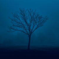 falling slowly, like autumn leaves (Single)