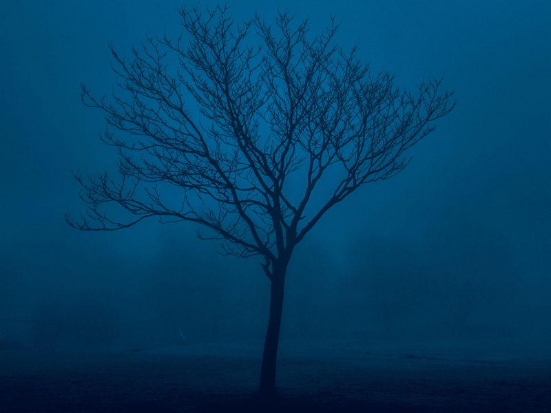 falling slowly, like autumn leaves (Single)