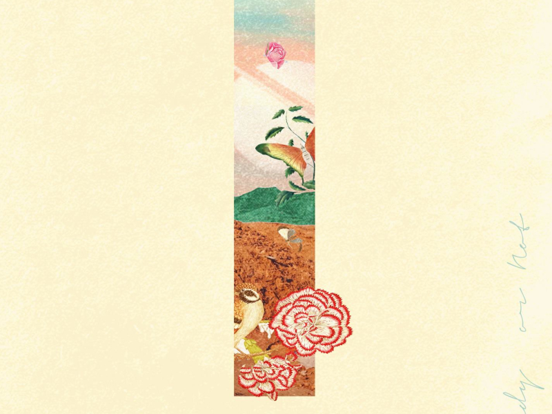 Ready or Not (Single)