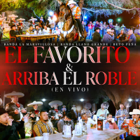 El Favorito & Arriba el Roble (En Vivo) (Single)