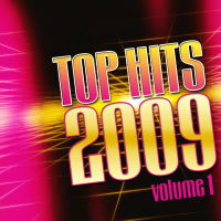 Top Hits 2009 Vol.1