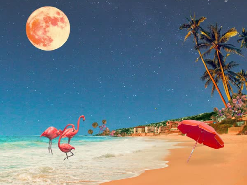 Midnight Love (À La Plage) (feat. Nina Carr) (Single)