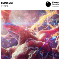 Blossom (Single)