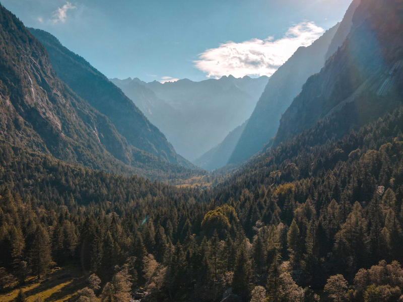 Soothing Ambient Atmosphere With Subtle Nature Textures For Calm Energy And Restful Sleep (Single)